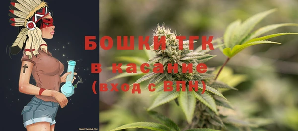 PSILOCYBIN Медвежьегорск