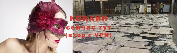 стафф Белая Холуница