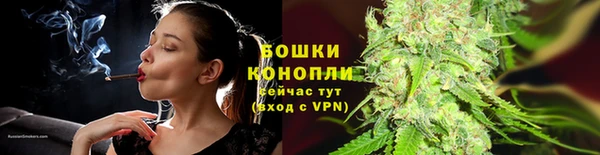 альфа пвп Медногорск
