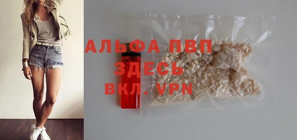 PSILOCYBIN Медвежьегорск
