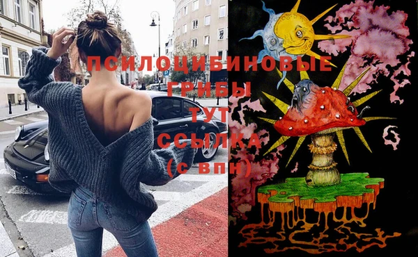 не бодяженный Михайловск