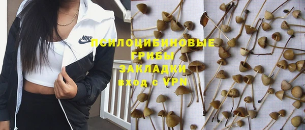 индика Михайловка