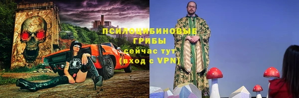 Альфа ПВП Михайлов