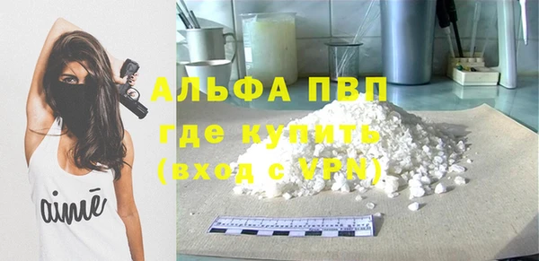 PSILOCYBIN Медвежьегорск