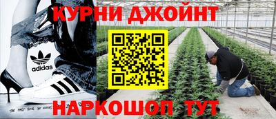 гашик Коммунар